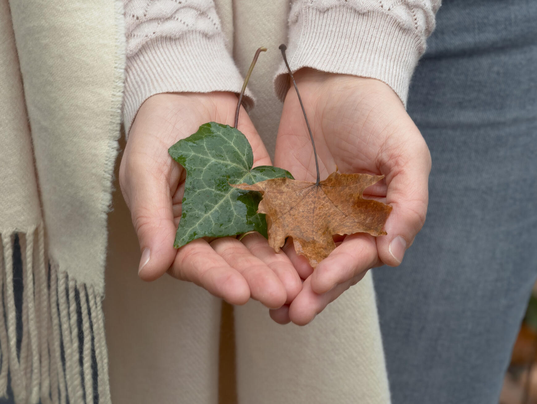 Zielgruppe Zielgruppe